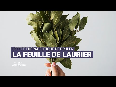 L’effet thérapeutique de