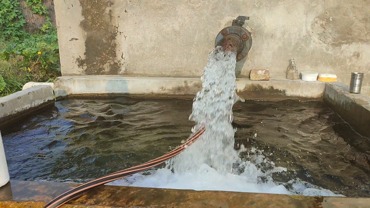 32  Acre prime  fertile agriculture land for sale with kothi in Hoshiarpur demand 24 lakh per acre