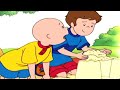 Caillou Vuole Giocare | Caillou Italiano - WildBrain