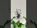 Figurka NieR:Automata Nendoroid - 2B (YoRHa No.2 Type B)