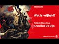 Wat is vrijheid? | Politiek historicus Annelien De Dijn, lezing
