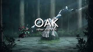 Ian Never Stop X Lvl Oak Remix