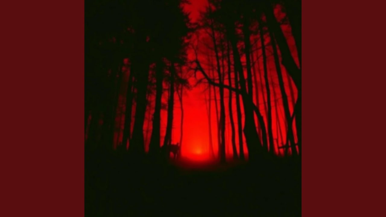 Desolación anímica