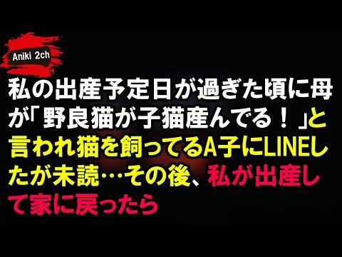 【スカッとする話】 私の出産予定日が過ぎた頃に母が「野良猫が子猫産んでる！」と言われ猫を飼ってるA子にLINEしたが未読…その後、私が出産して家に戻ったら【Aniki 2ch】