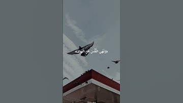 ماهر المعيقلي تلاوة مؤثرة حالات واتس اب قرآن كريم