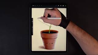 Baby Plant - Procreate Painting on iPad Pro