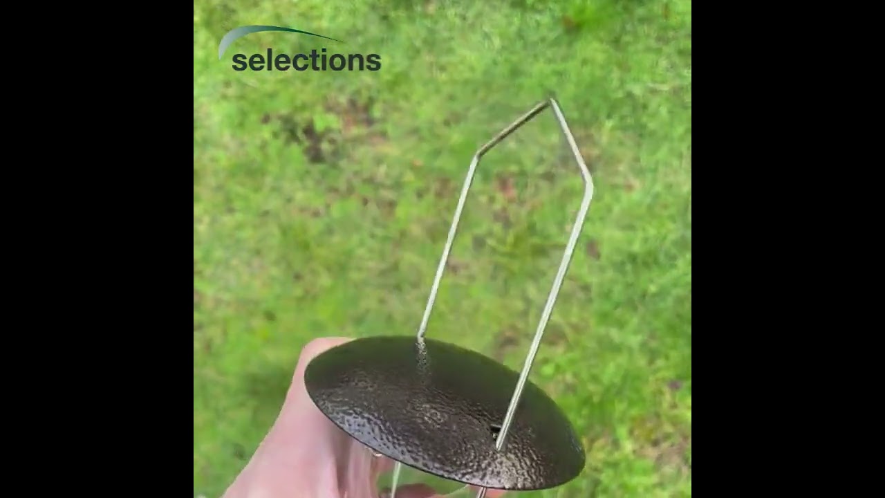 Large Hanging Bird Seed Feeder 