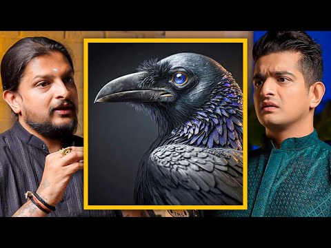 Why Crows Are Considered Ultra Smart - Explained By Bhavesh Bhimanathani