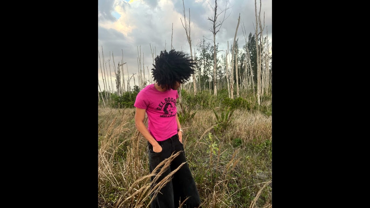 (FREE) Jaydes Entry Log x Romanticism x Intro type beat - 