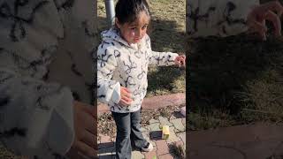 Madem Attın Biz Alalım