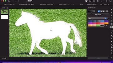 Erase An Object  - Using PIXELMATOR PRO
