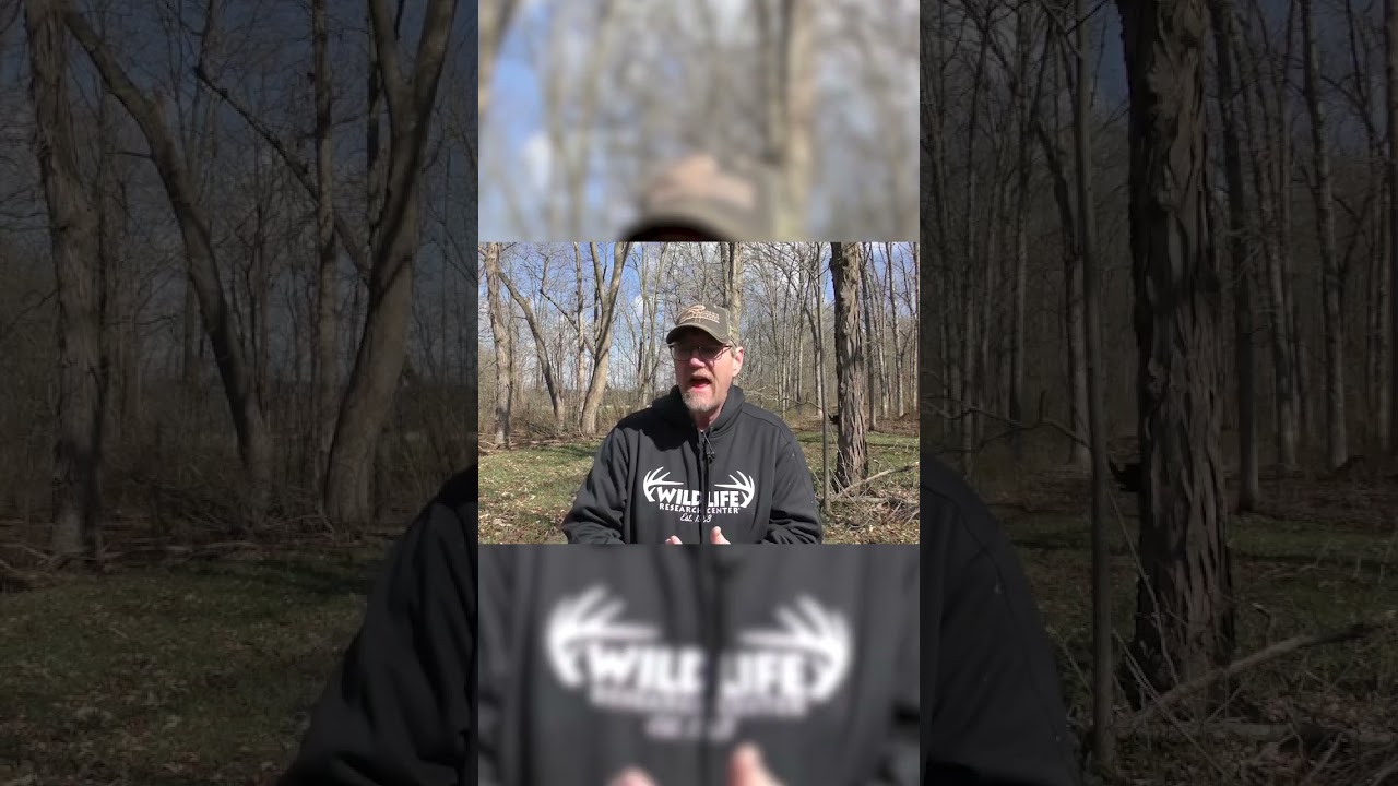 Cereal Rye is the REAL DEAL! 