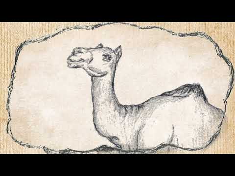 الحلقة 4 الرابعة من مسلسل قصص الحيوان في القرآن ناقة صالح 