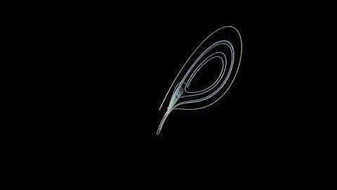 Lorenz Attractor