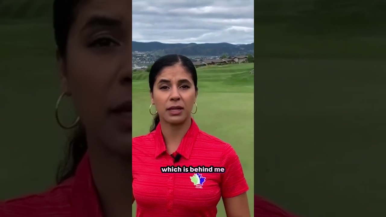 Flag Colour Meanings