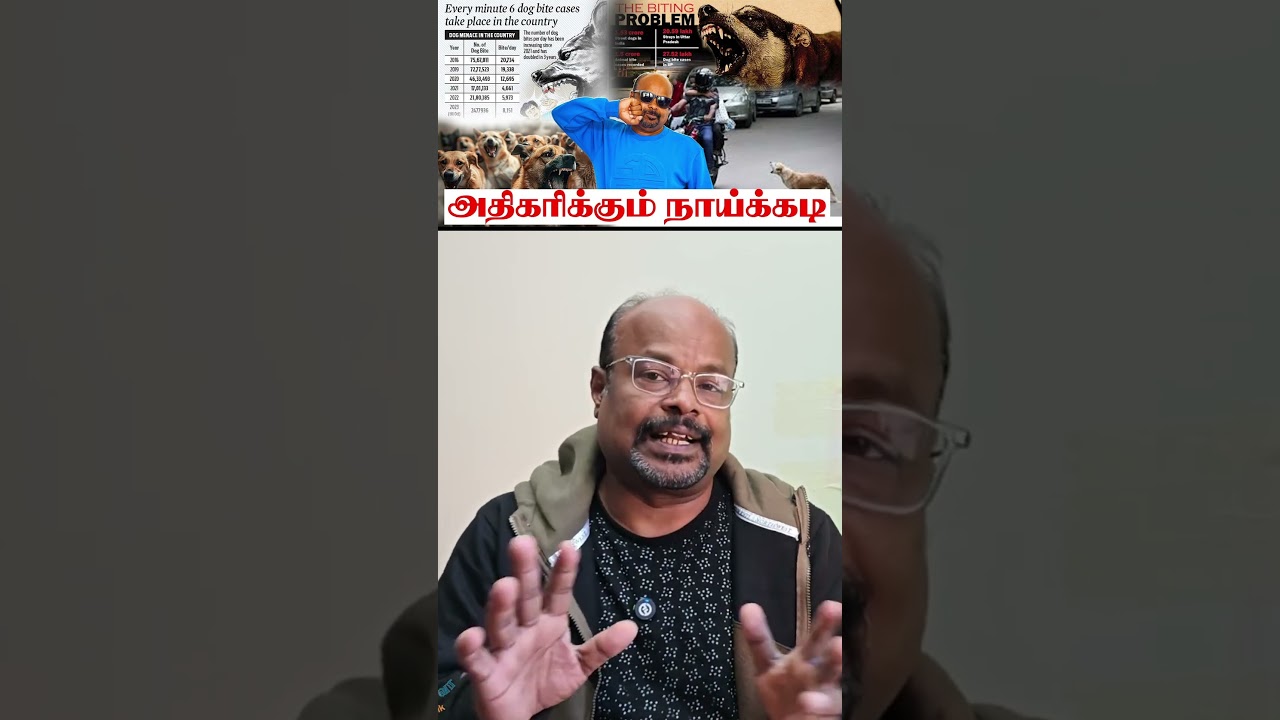 வெறிநாயைக்கூட கொல்லக்கூடாது  சட்டவிரோதம் Why Street Dog Bites Are Increasing in India?