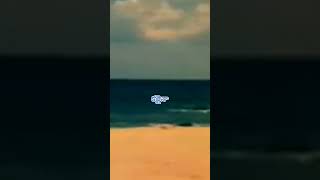 Adeneevu Adeneenu Song Lyrics