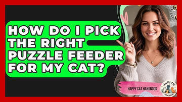 How Do I Pick The Right Puzzle Feeder For My Cat? - Happy Cat Handbook