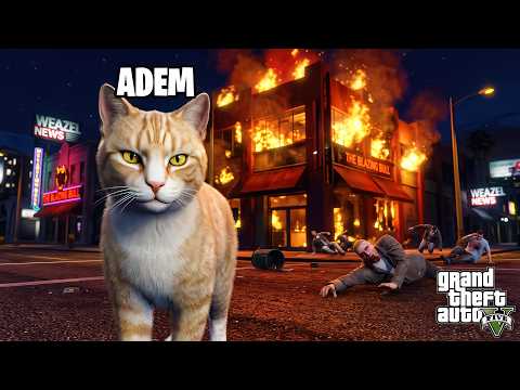 GTA5 Gerçek Hayatta Kedi Olup SUÇ İşledim! 😺 | GTA Roleplay