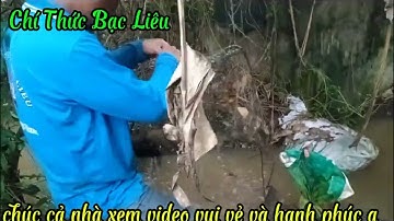 Thăm Lờ Hôm Nay Đụng Ổ Cá Trê Đồng Siêu To