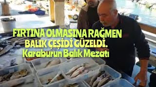 FIRTINA BALIKLARI KARABURUN BALIK MEZATI CANLI YAYIN 18.02.2024 CANLI YAYIN