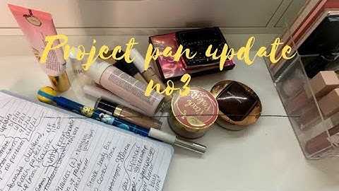 Project pan 3 month update