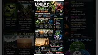 🚨 MOST IMPORTANT Health Warning Of The Future! One Health Could Prevent The Next Pandemic #OneHealth