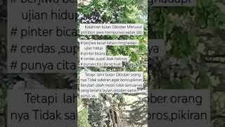 Kelahiran Bulan Oktober dan sifatnya #lahir #bulan #primbonjawa #oktober