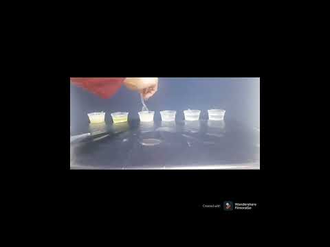 How Solubility and Dissolving Work  |  #science #experiment  #science #chemistry  #dissolve