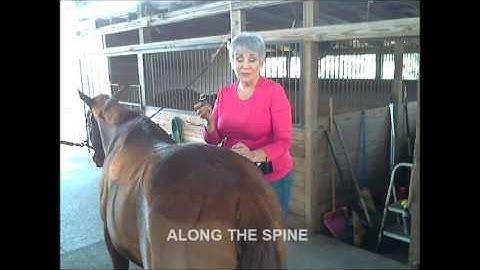 Raindrop Technique instructions