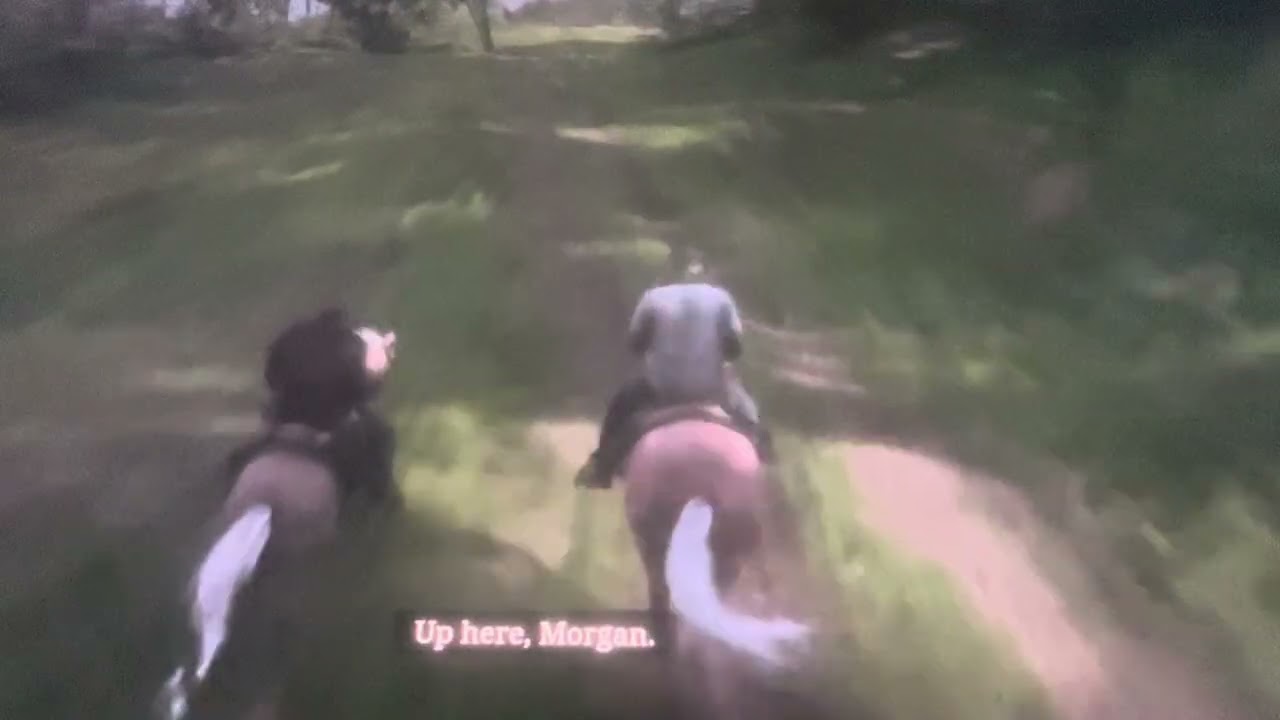 My first red dead redemption, two video house robbery with Sean 