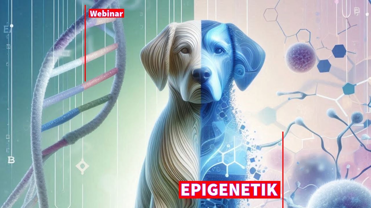 Epigenetik UPDATE - Dr. rer. nat. Peter Spork