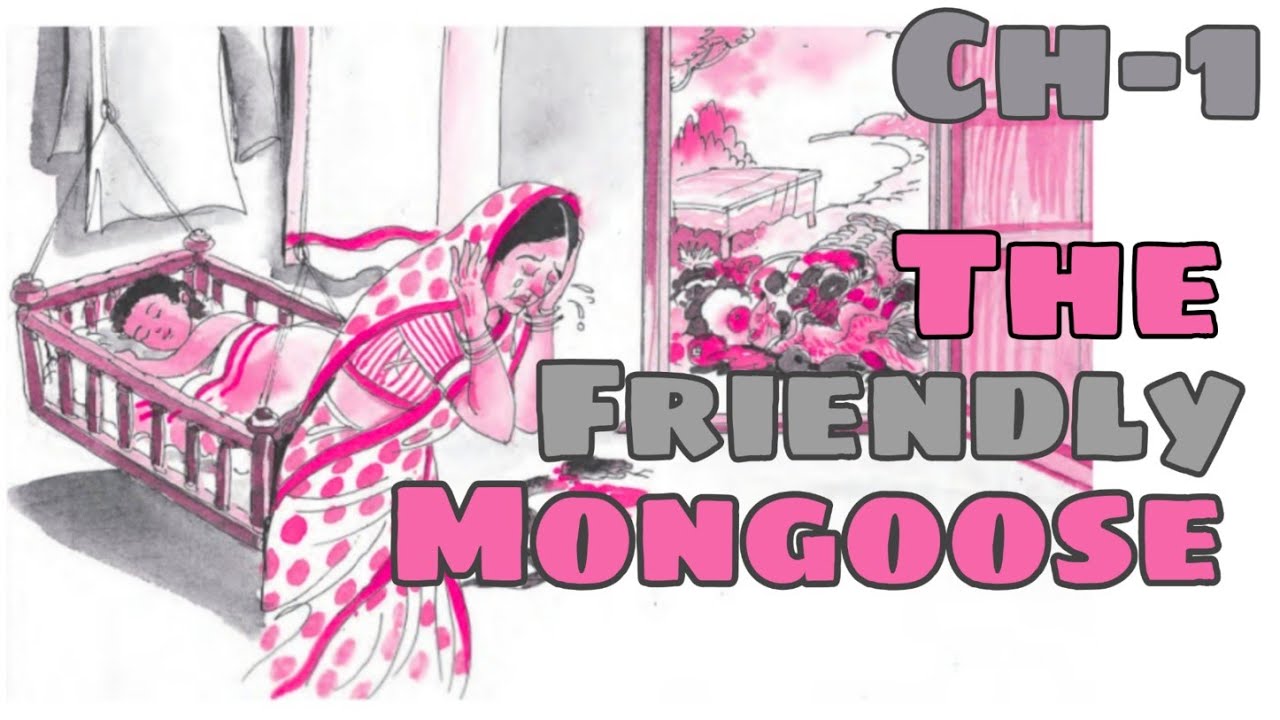 The Friendly Mongoose - Full story explained along with Question ...