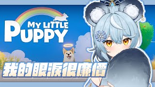 【我的小柯基】我的眼淚很廉價所以已經準備好一整包衛生紙了｜澪Rei