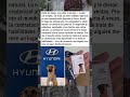 PERRO CALLEJERO CONSIGUE TRABAJO EN CONCESIONARIA 🐶❤️😁