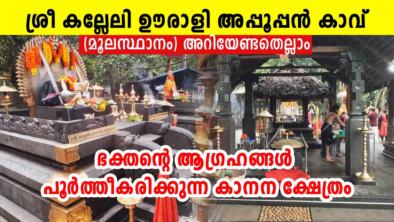 ശ്രീ കല്ലേലി ഊരാളി അപ്പൂപ്പന്‍ കാവ് മൂലസ്ഥാനം || KALLELI OORALI APPOOPPAN KAVU KONNI PATHANAMTHITTA