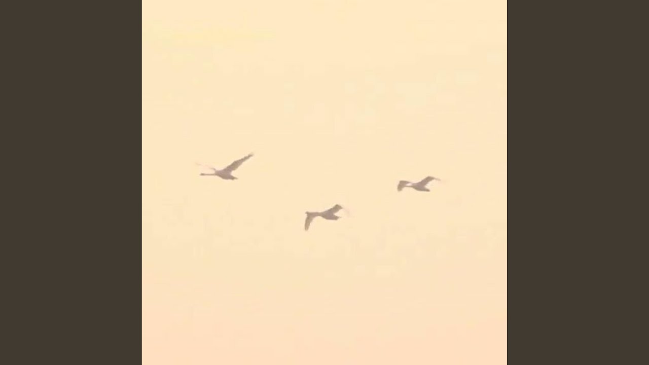 Life will find a way