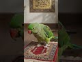 AI beautiful video