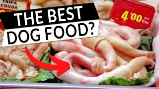 The 3 Best Organ Meats To Feed Your Dog! by Ultimate Pet Nutrition 4,016 views 1 year ago 1 minute, 45 seconds