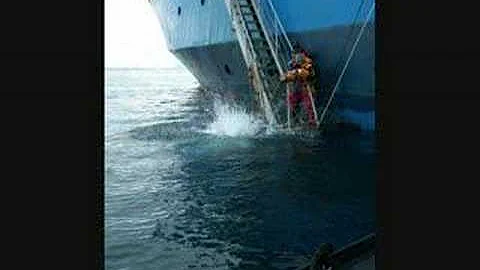 Polar Plunge Antarctica