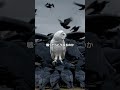 カラスがめちゃくちゃ賢いって知ってた?#カラス #crow #雑学