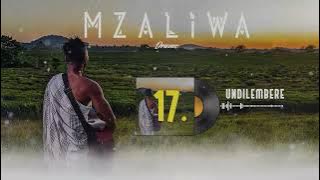 DRIEMO - UNDILEMBERE ( audio visualizer)#Mzaliwa #malawi #afrobeat