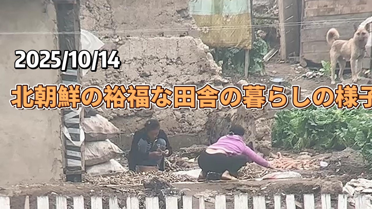 2025/10/14 北朝鮮の裕福な田舎の暮らしの様子