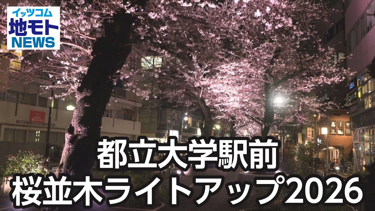 Cherry blossom trees in front of Toritsu Daigaku Station