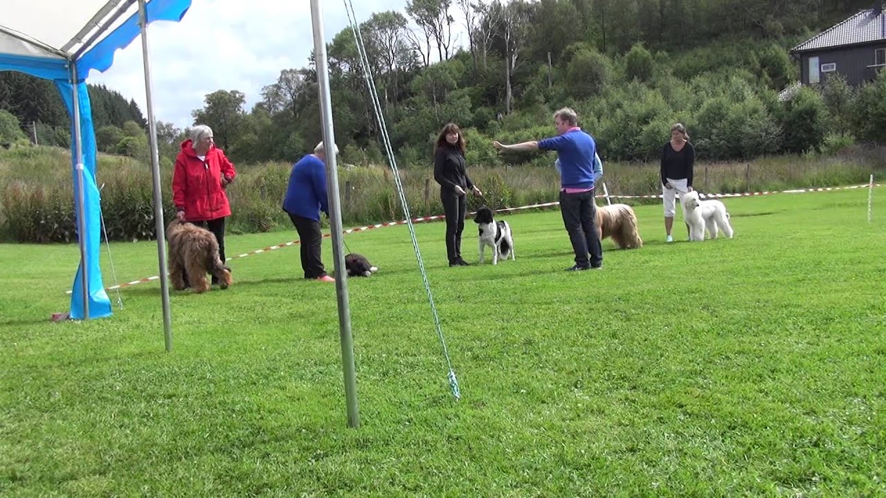 Handlerkurs med Mikael Nilsson 3