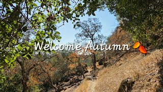 Information Autumn Hike 🍂 I accidentally found a Geocache!  News