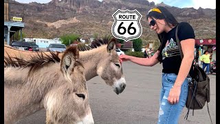 Route 66 - Oatman Arizona (Sitgreaves Pass)
