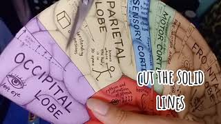 HOW TO CREATE BRAIN HAT / OUTPUT