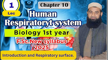 Respiratory surface | Human Respiratory system | Chapter 10| F.Sc. 1st Year Biology | Lec# 1