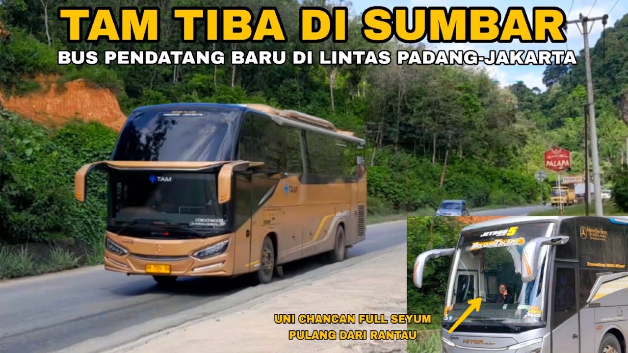 TAM TIBA DI SUMBAR BUS PENDATANG BARU DI LINTAS PADANG-JAKARTA 